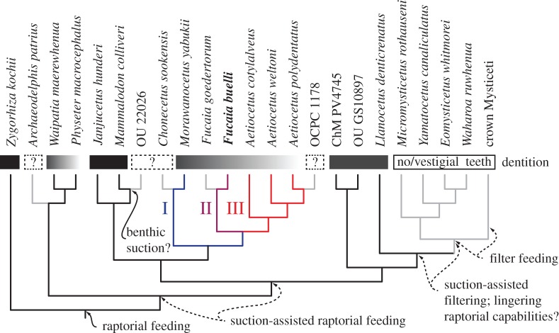 Figure 20.