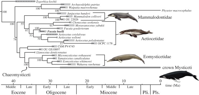 Figure 18.