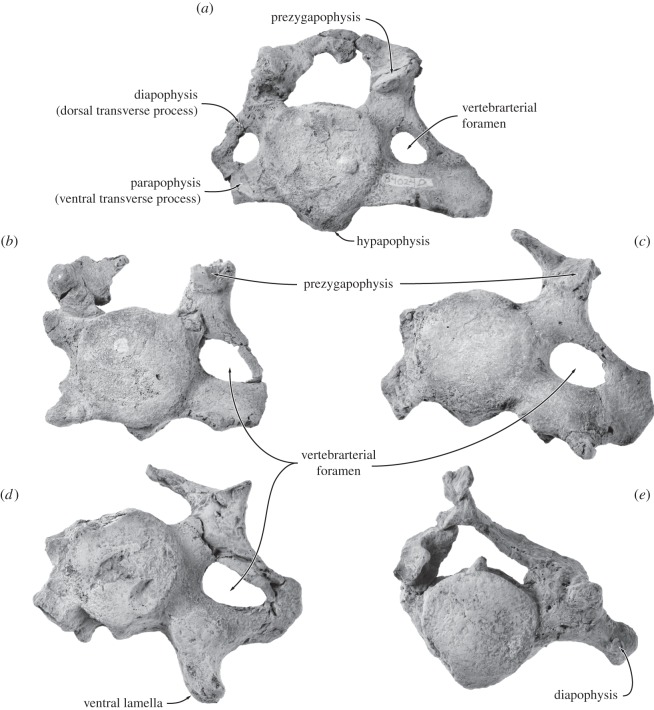 Figure 14.