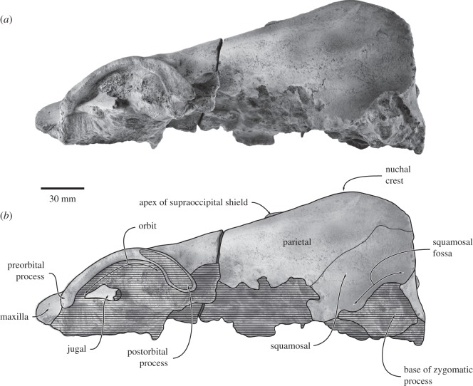 Figure 4.