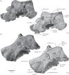 Figure 3.