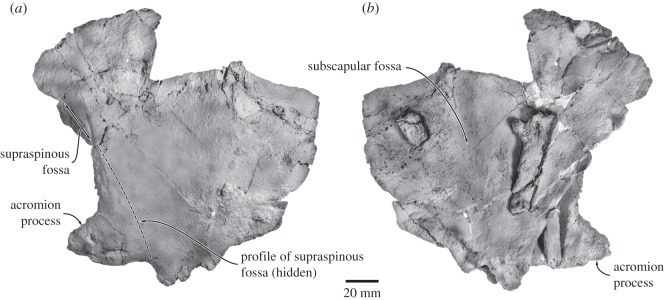 Figure 17.