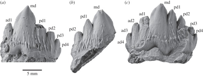 Figure 11.