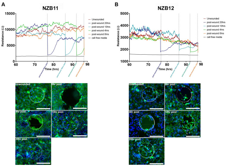 Figure 6