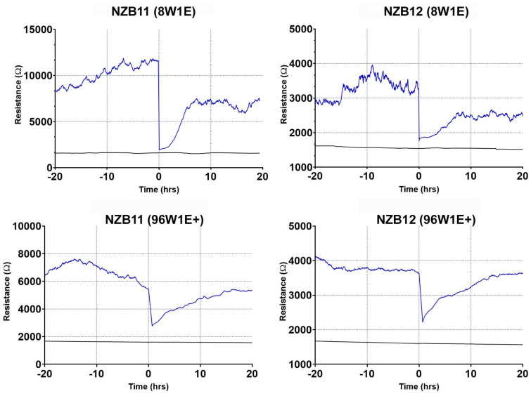 Figure 7