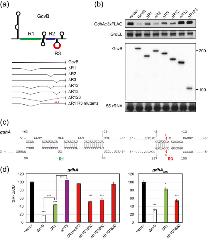 FIGURE 3