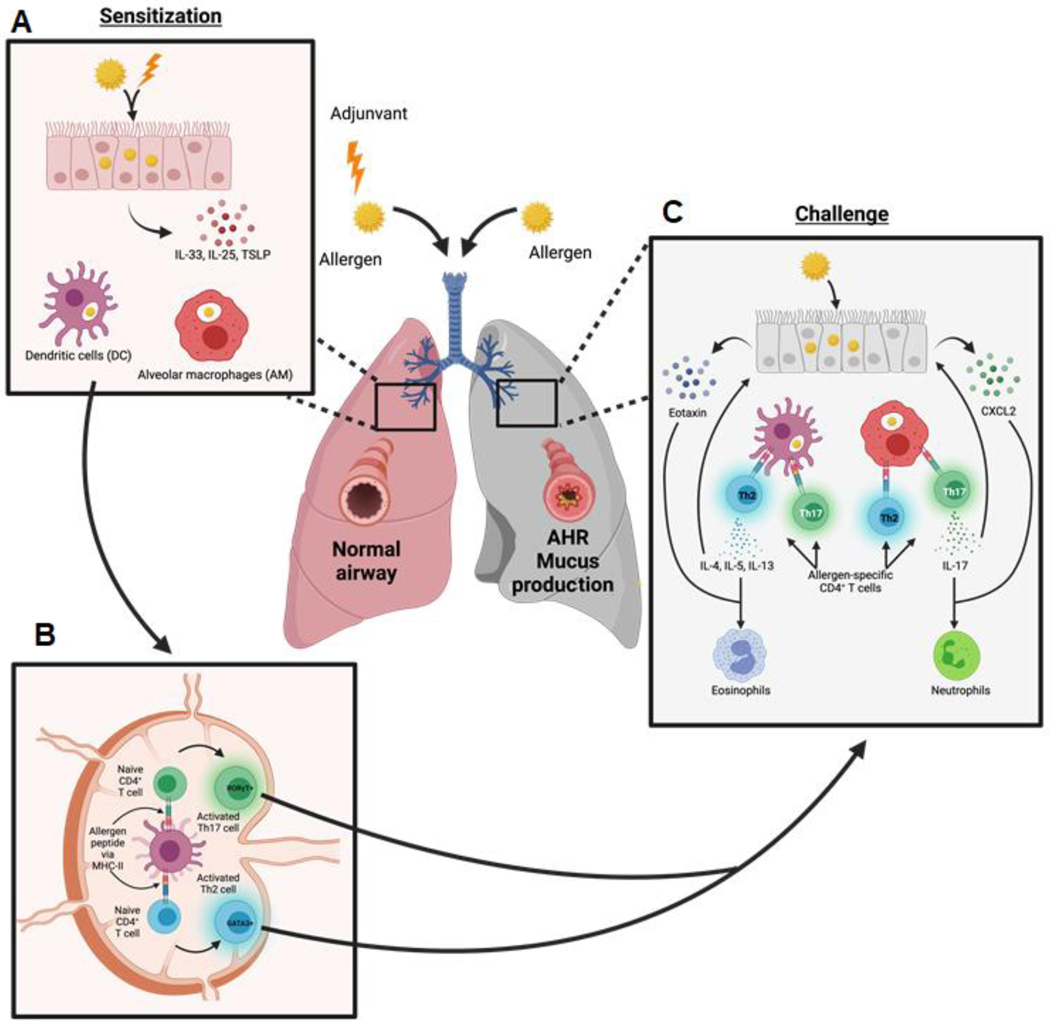 Figure 4: