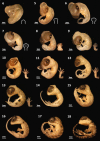 Fig. 3
