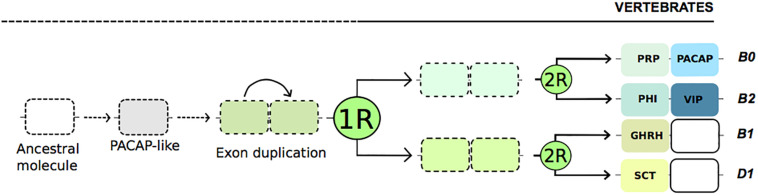 FIGURE 1