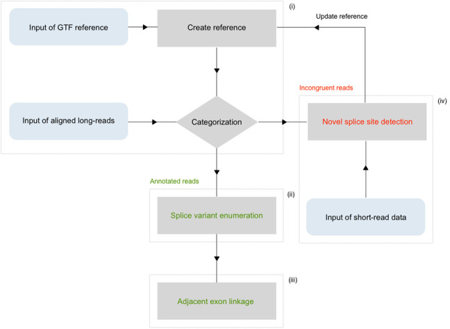 FIGURE 1.