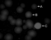 FIG. 3.