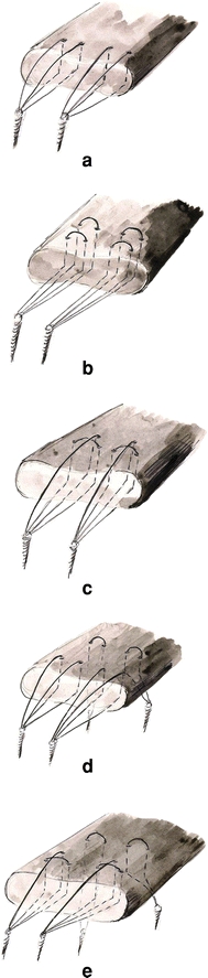 Fig. 1