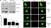 Fig. 9.