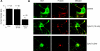 Fig. 10.