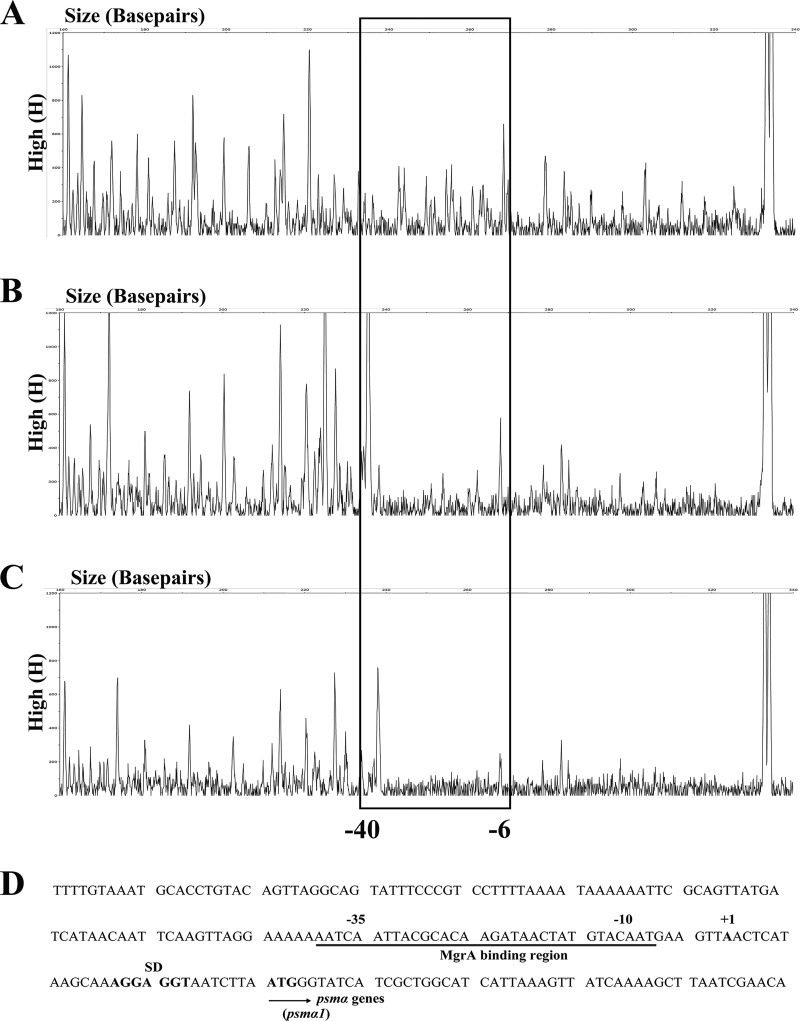 FIG 2