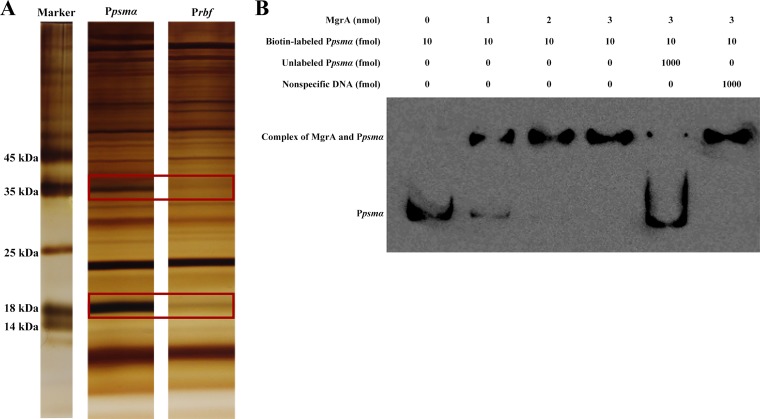 FIG 1