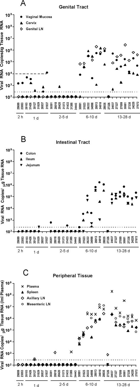 FIG. 1.