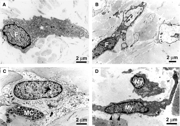 Fig. 9