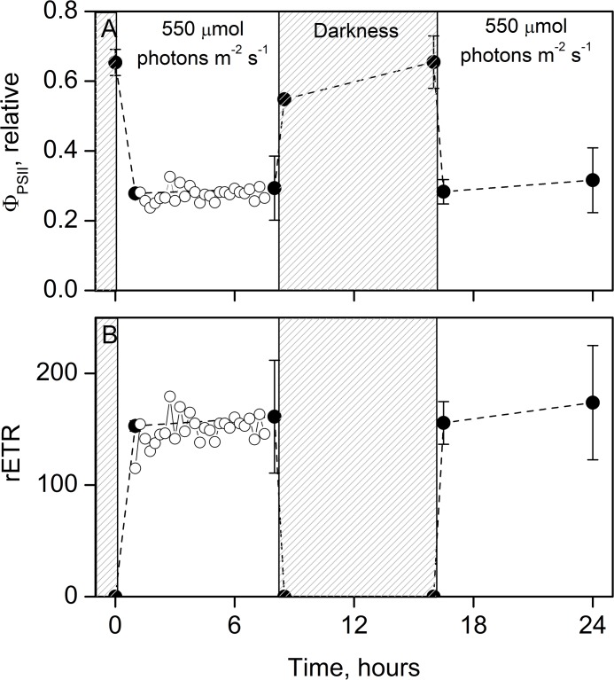 Fig 5