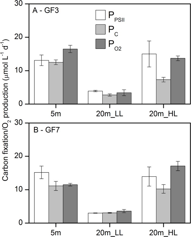 Fig 6