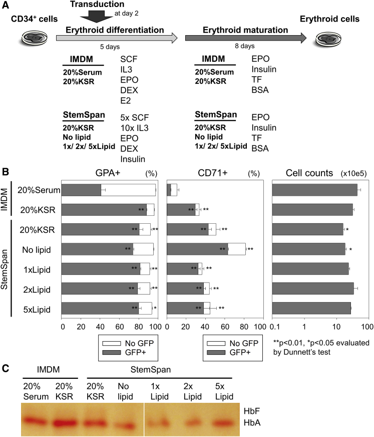 Figure 3