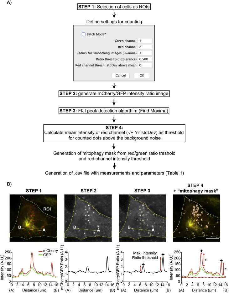 Fig. 1