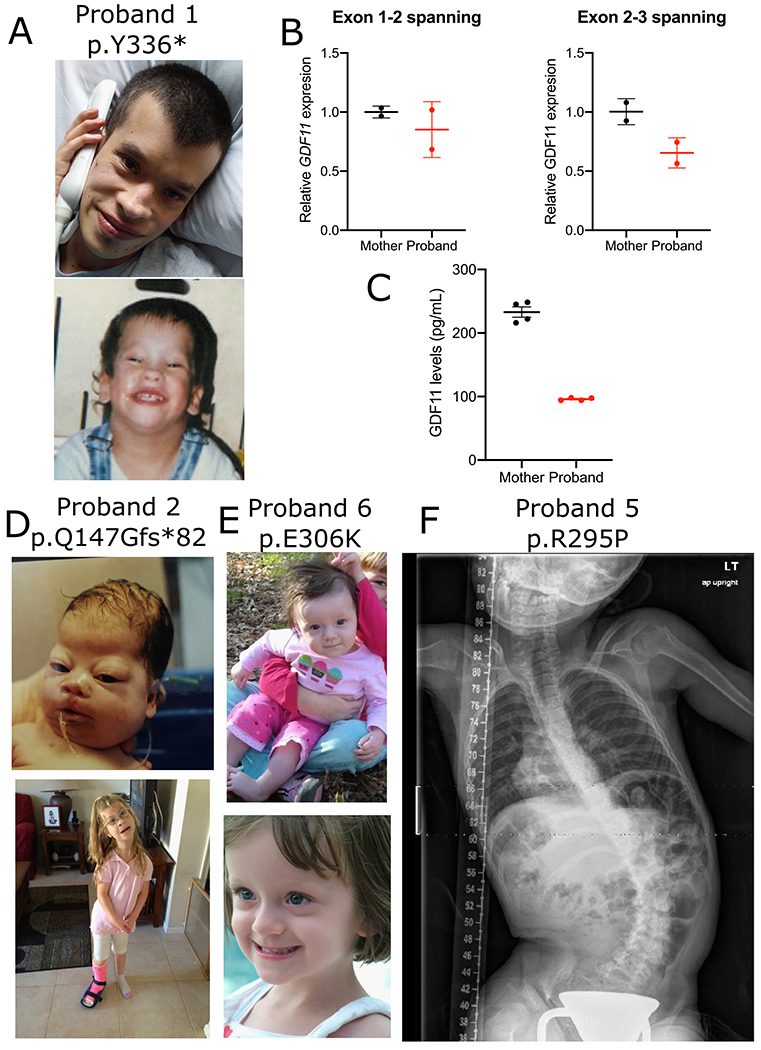 Figure 1 -