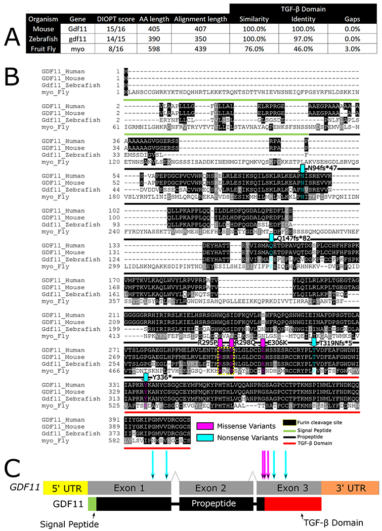 Figure 2 -