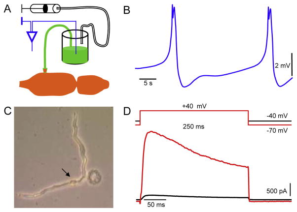 Fig. 3