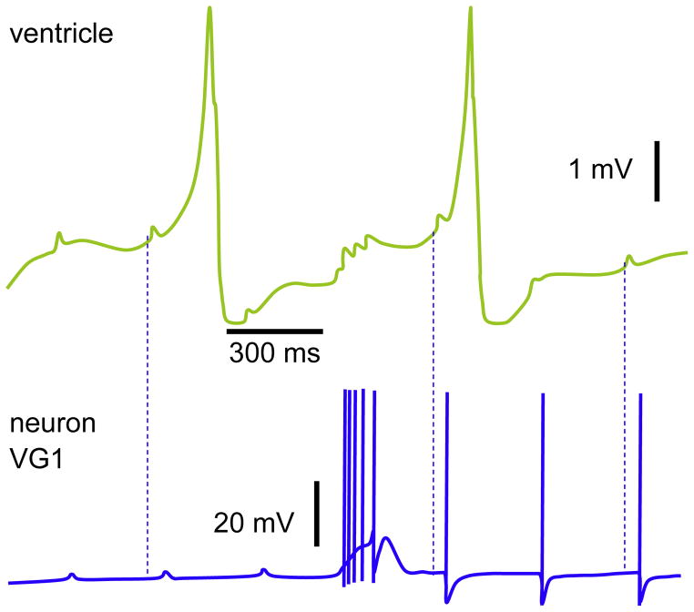 Fig. 8