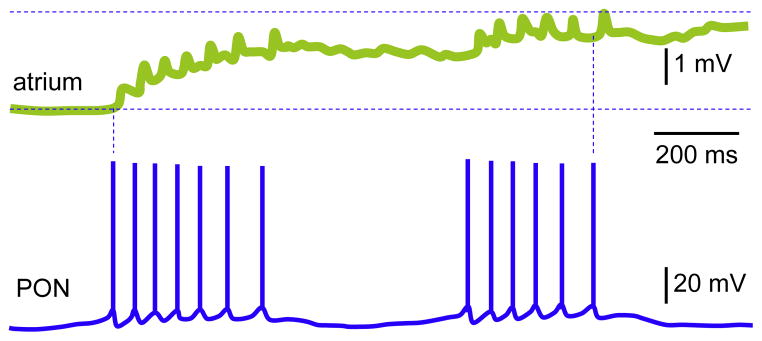 Fig. 7