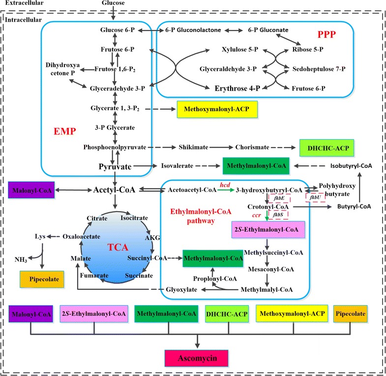 Fig. 6