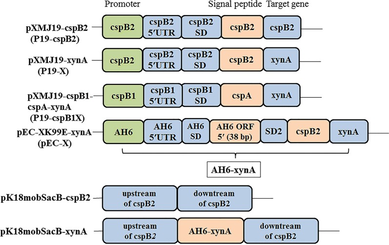 Fig. 7