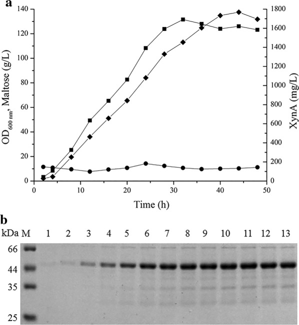 Fig. 5