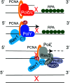 Fig. 8