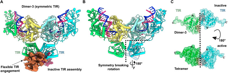 Fig. 3.