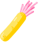 Image 15