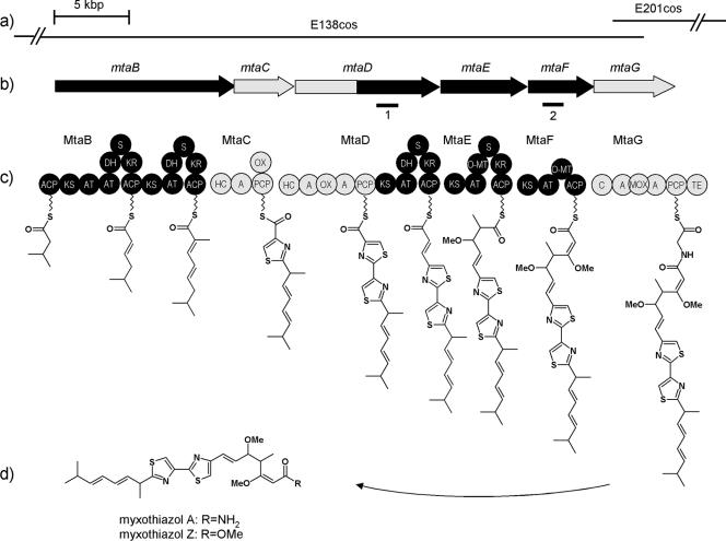 FIG. 1.