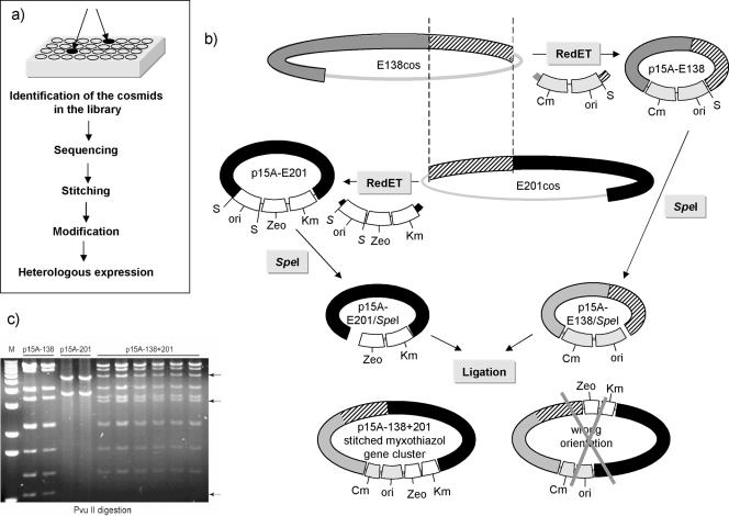 FIG. 2.