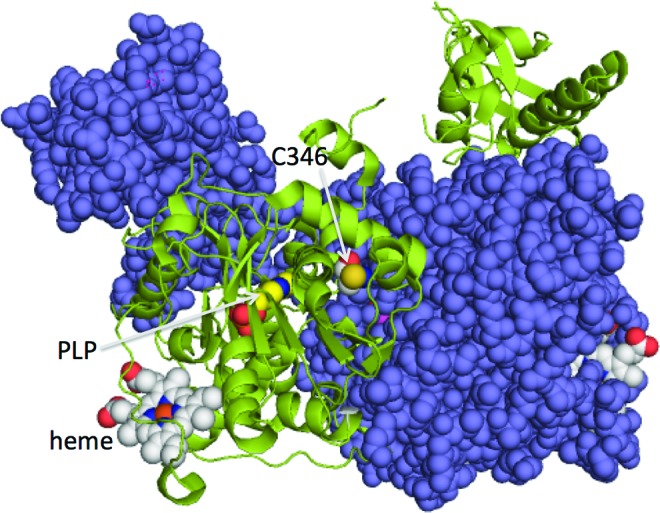 FIG. 8.