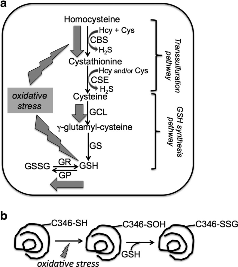 FIG. 7.