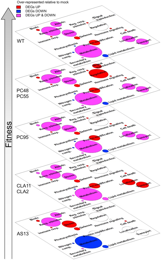 Fig. 4.