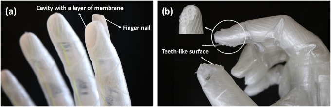 Fig 4