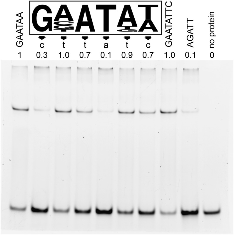 Figure 1.