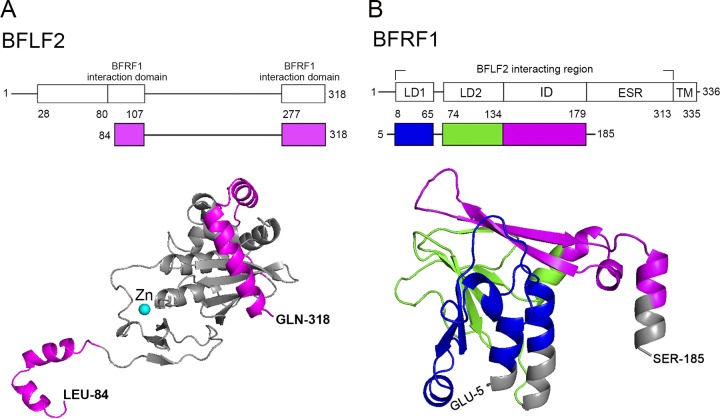 FIG 9