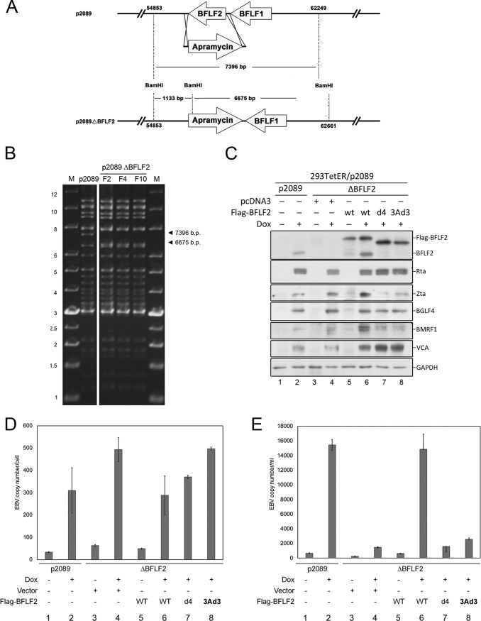 FIG 8