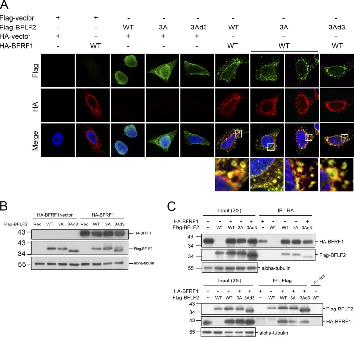 FIG 4