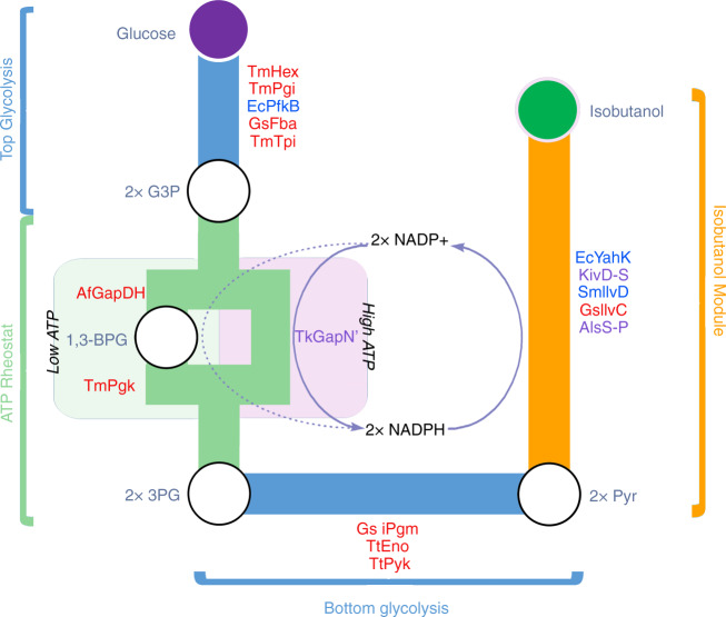 Fig. 1