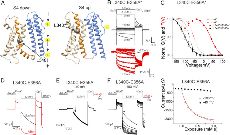 Fig. 4.