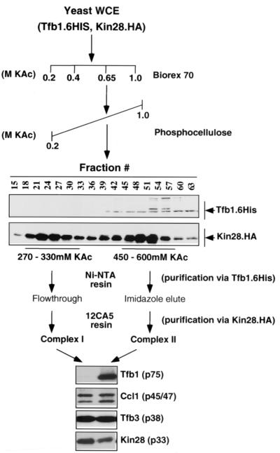 FIG. 5.